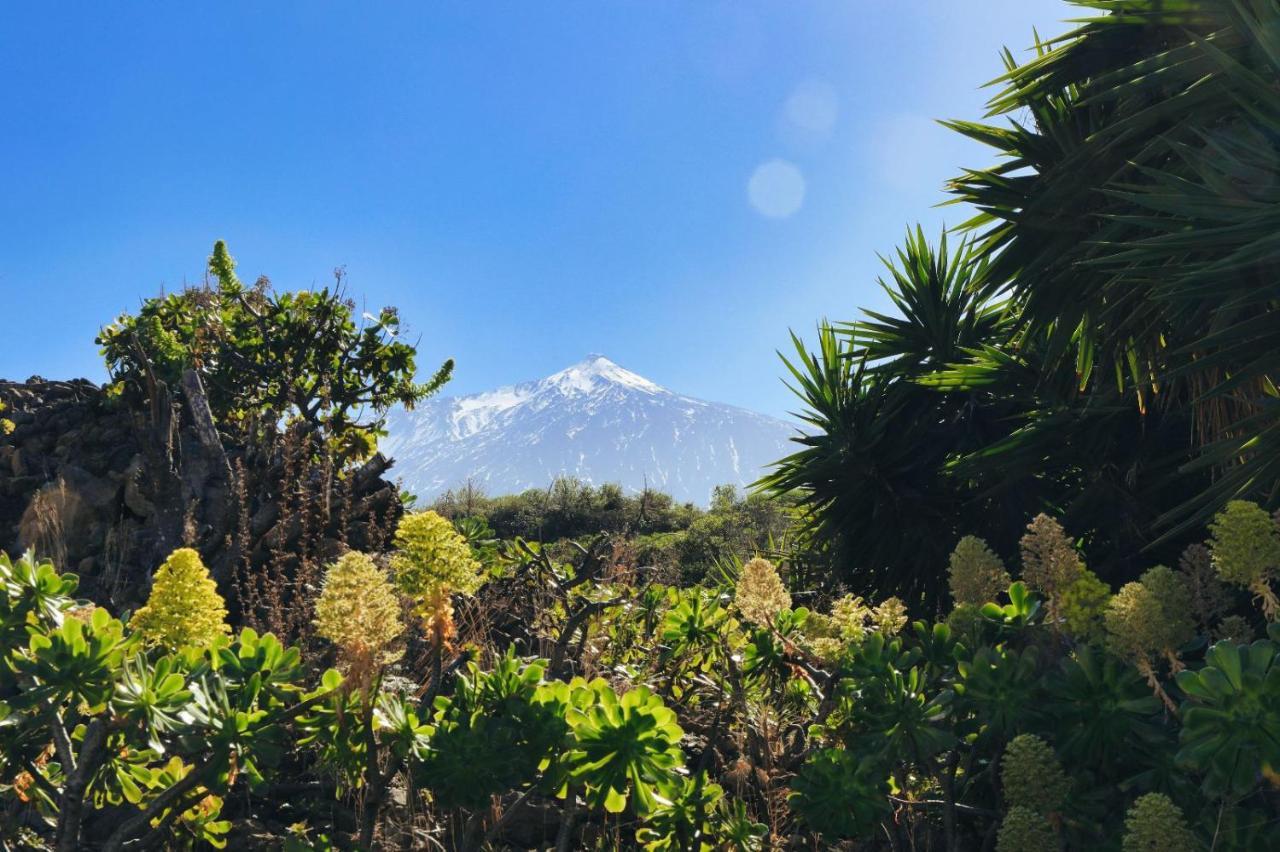 Finca Vino Tinto 4 Icod De Los Vinos Dış mekan fotoğraf