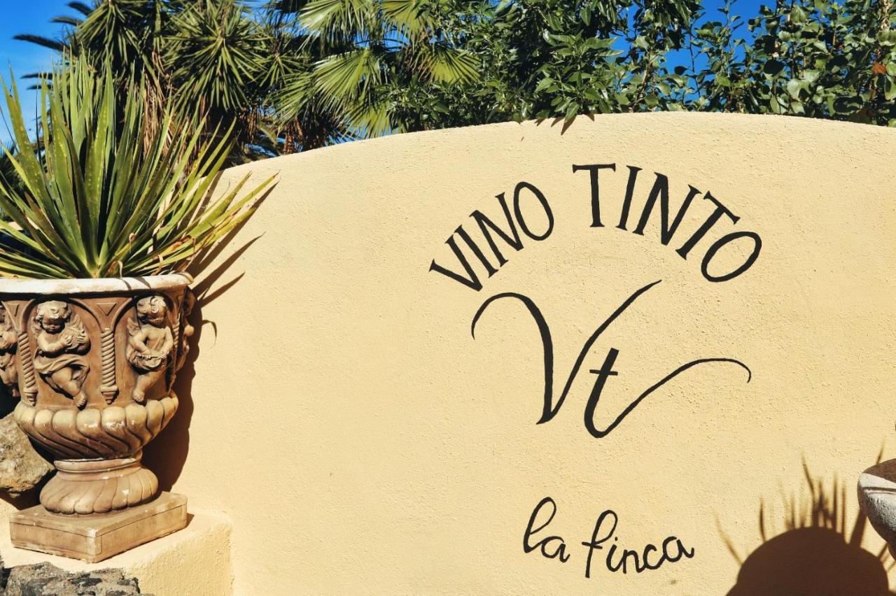 Finca Vino Tinto 4 Icod De Los Vinos Dış mekan fotoğraf